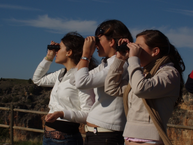  Using binoculars